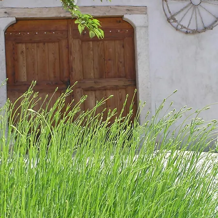 Youth Casa vacanze Pliskovica