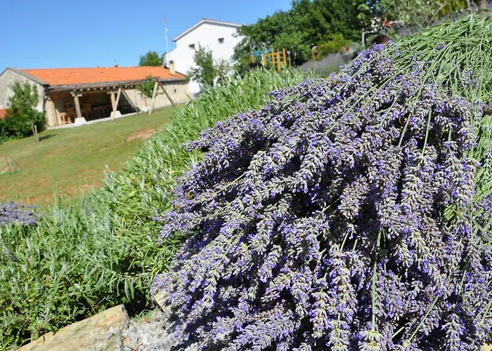 בית נופש Youth