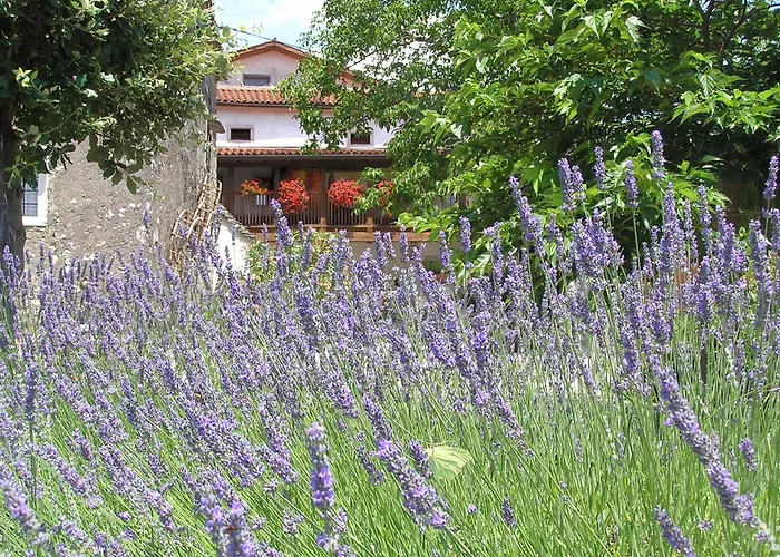 Semesterbostad Youth *