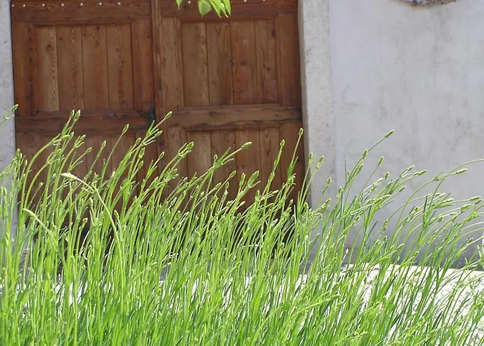 Youth Semesterbostad Pliskovica