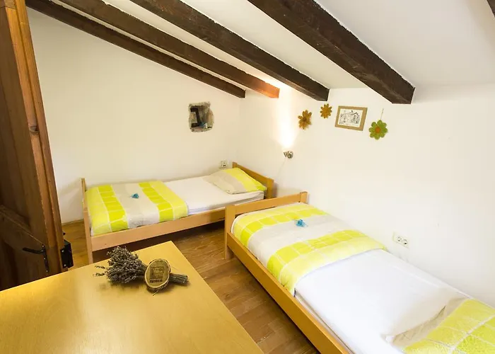 Semesterbostad Youth Pliskovica